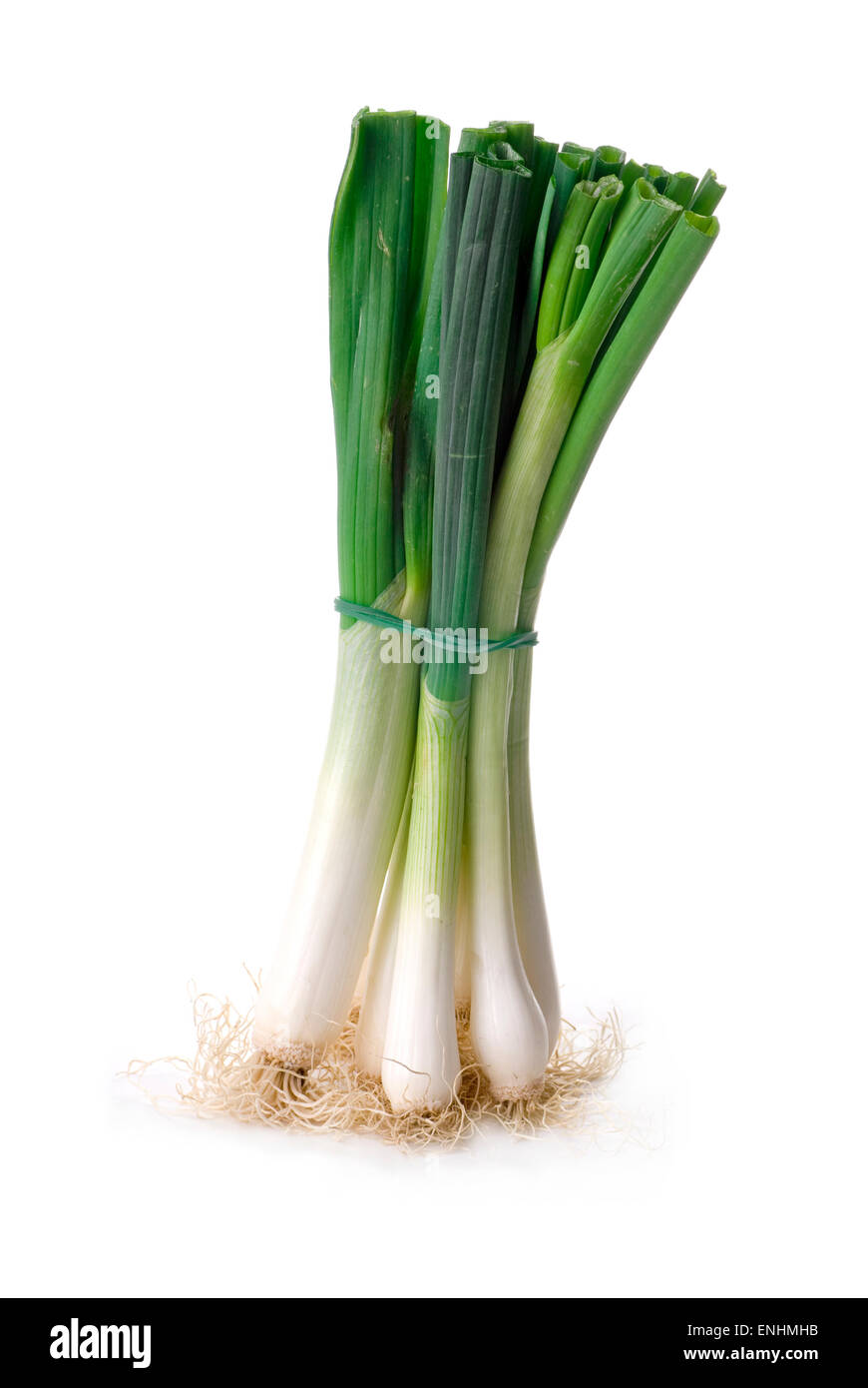 Bouquet de salade oignon de printemps sur fond blanc. Banque D'Images