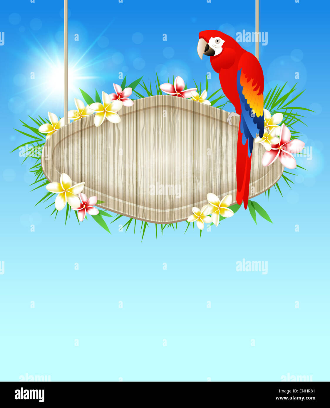 De l'été fond bleu avec Red Parrot et de fleurs Banque D'Images