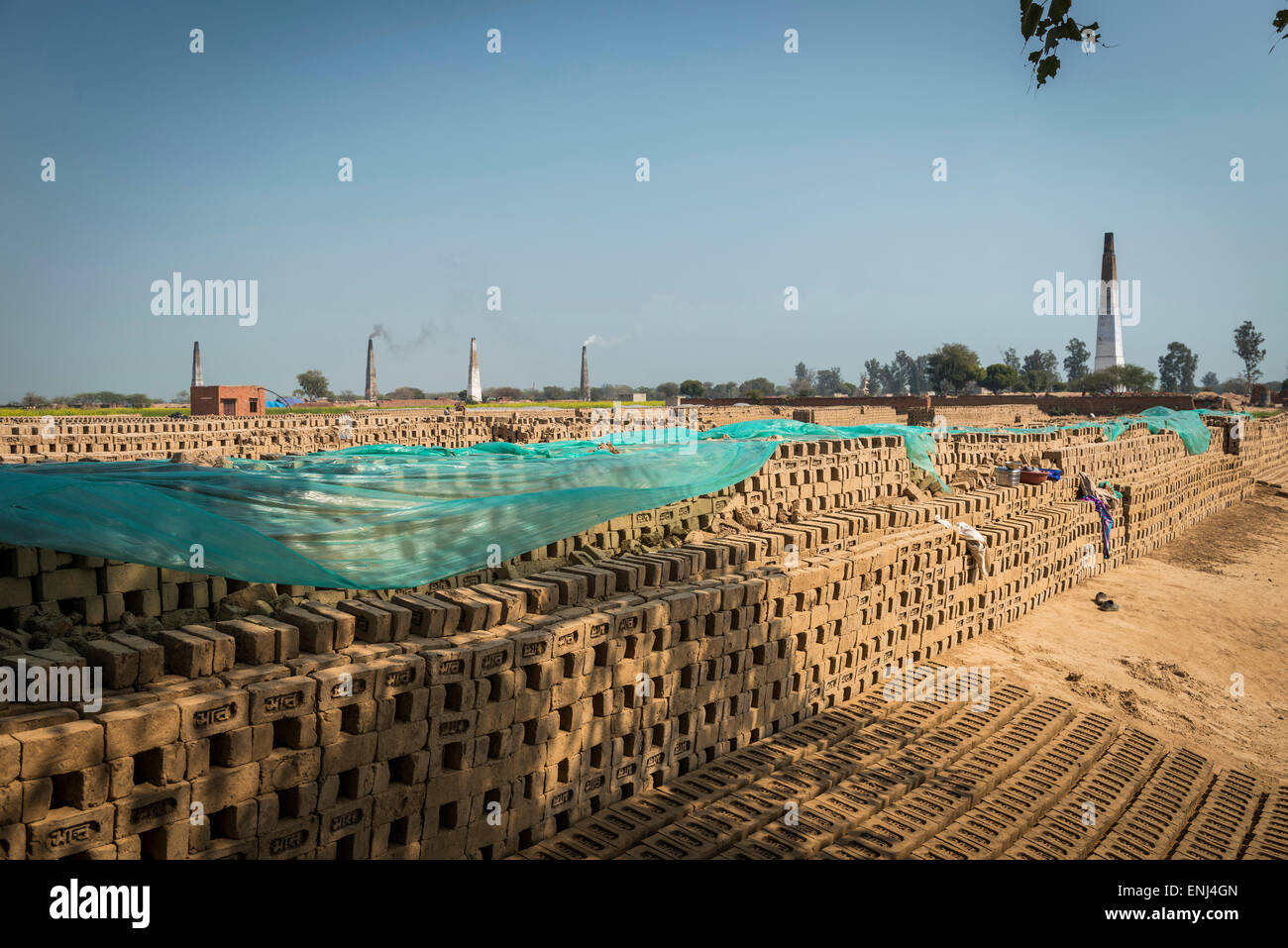 Le séchage des briques à une brique travaille dans l'Uttar Pradesh, Inde Banque D'Images