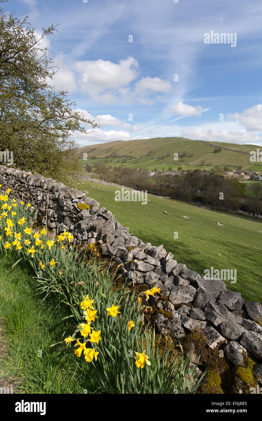 Village de Kettlewell, Yorkshire, Angleterre. Jonquilles en pleine floraison avec le village de Kettlewell en arrière-plan. Banque D'Images
