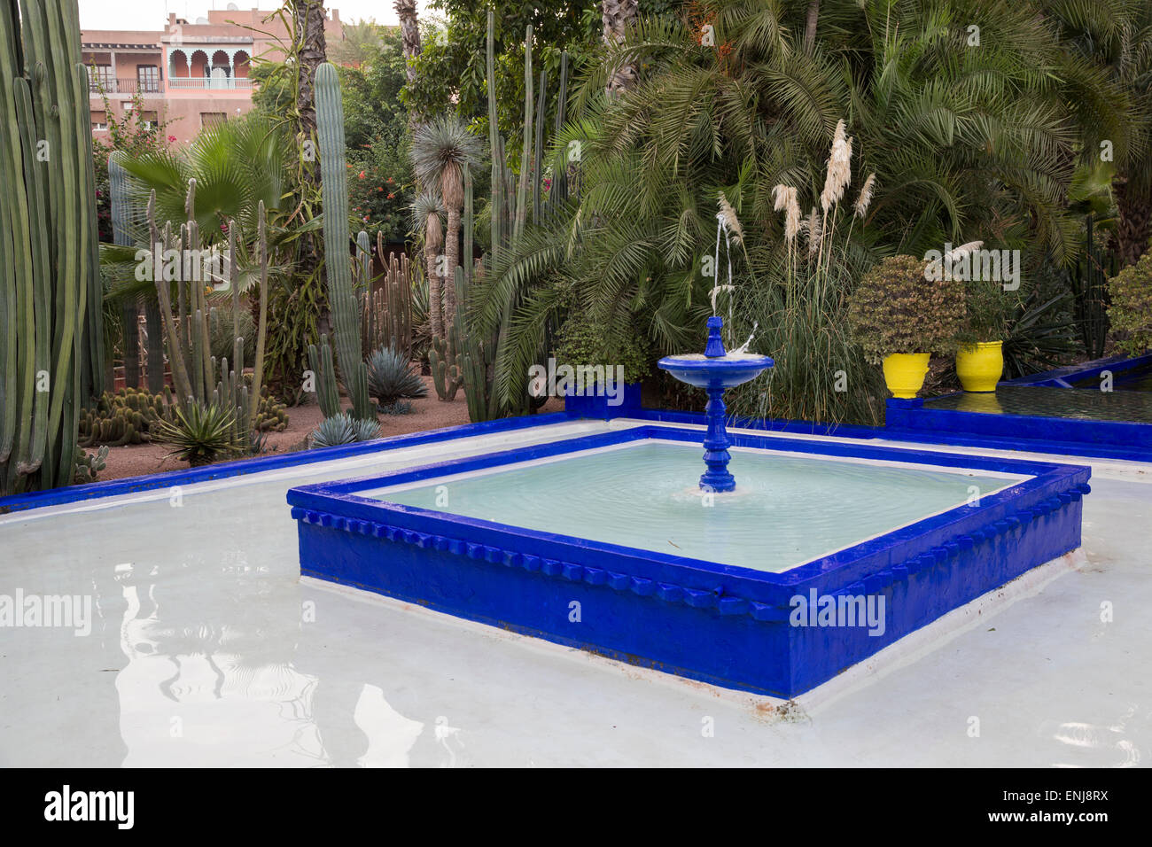 Jardin Yves Saint Laurent Maroc Marrakech Marrakech jardins marocains jardin Majorelle Banque D'Images