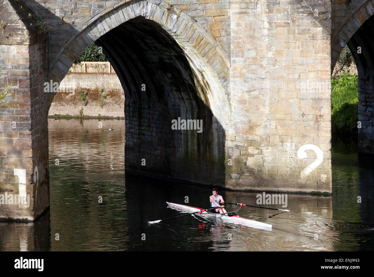 Un rameur rangées sur la rivière Porter selon Elvet pont dans la ville de Durham Banque D'Images