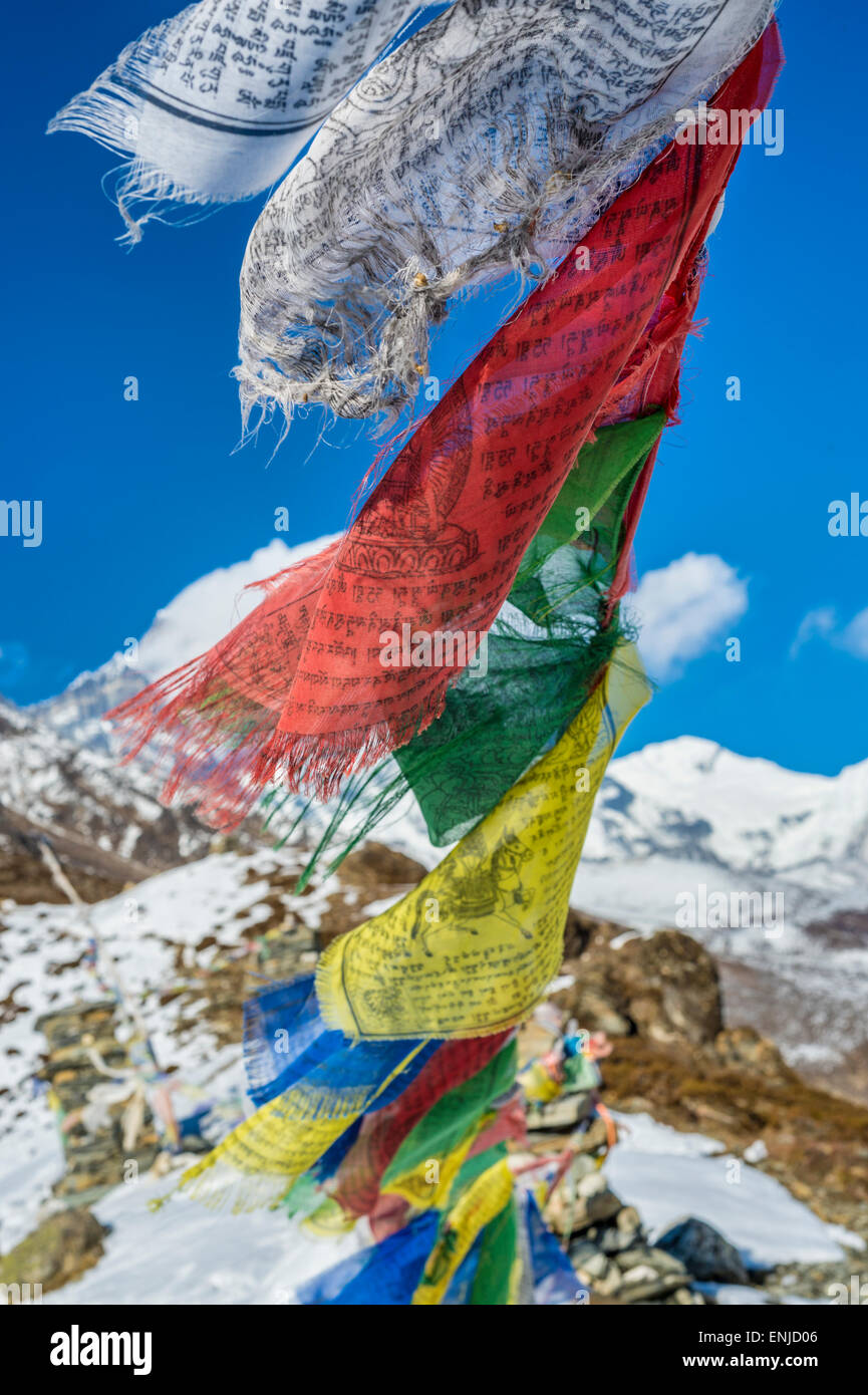 Les drapeaux de prières dans l'himalaya Banque D'Images Les drapeaux de prières dans l'himalaya Banque D'Images
