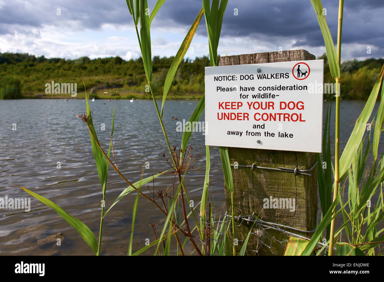 Un signe de garder leurs propriétaires d'avertissement chien sous contrôle à un parc de conservation de la faune. Banque D'Images