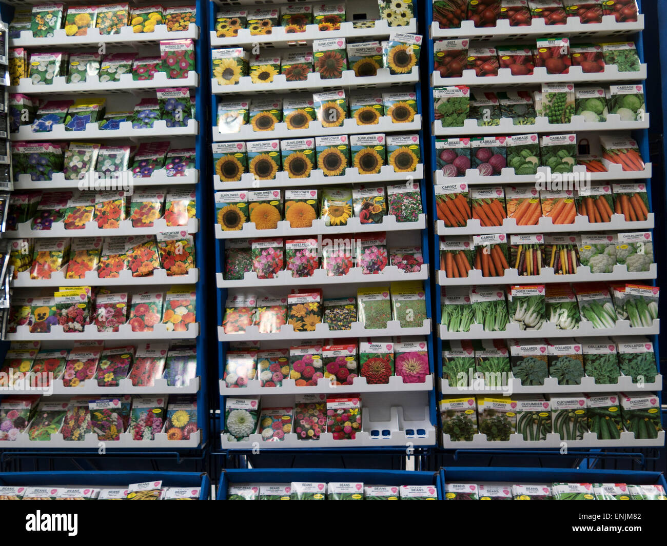 Les graines sur l'affichage dans un magasin de fournitures agricoles dans le Massachusetts. Banque D'Images