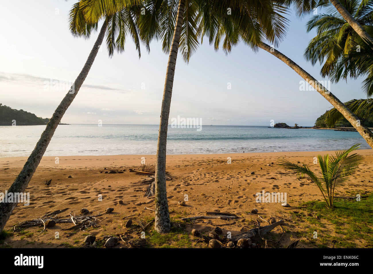 Belle plage dans le Bom Bom Resort, Réserve de biosphère de l'UNESCO, principe, Sao Tomé-et-Principe, Océan Atlantique, Afrique Banque D'Images