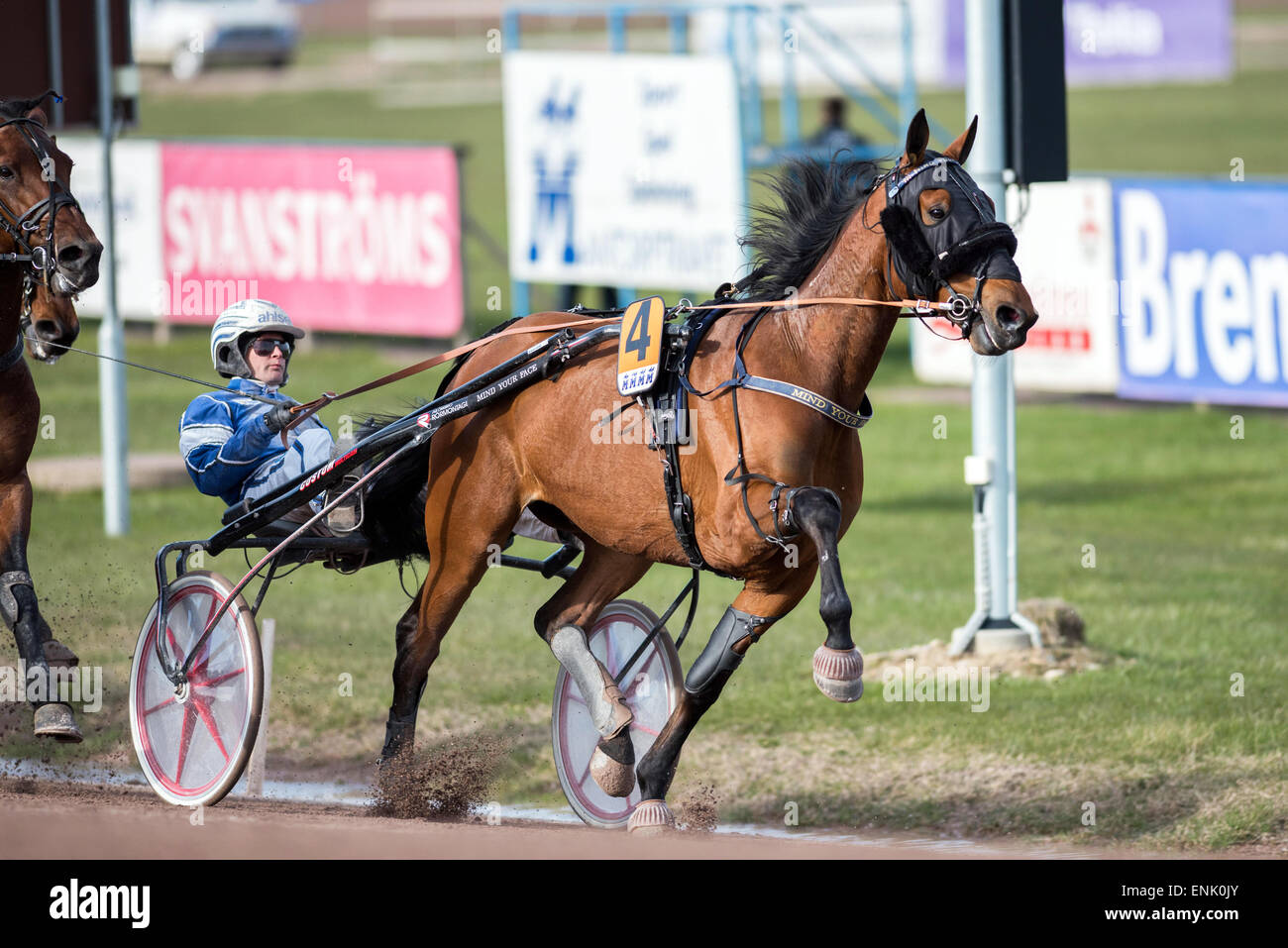 Harness Racing à Mantorp race course en Suède Banque D'Images