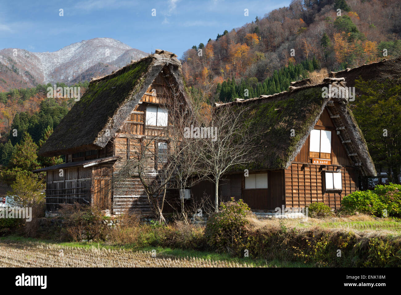 Maisons Folklorique Gassho-zukuri, village Ogimachi, Shirakawa-go, près de Takayama, le centre de Honshu, Japon, Asie Banque D'Images