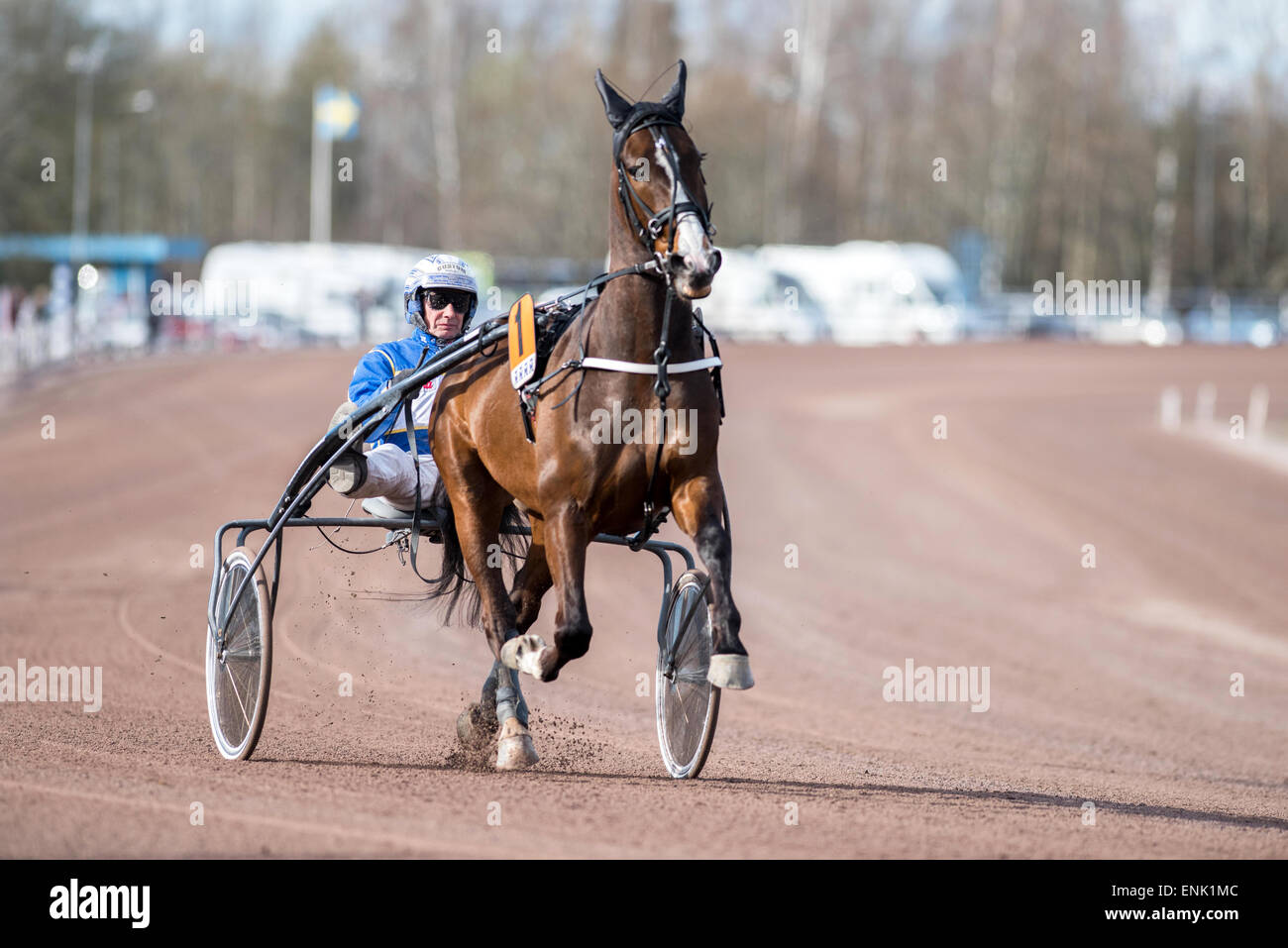 Harness Racing à Mantorp race course en Suède Banque D'Images