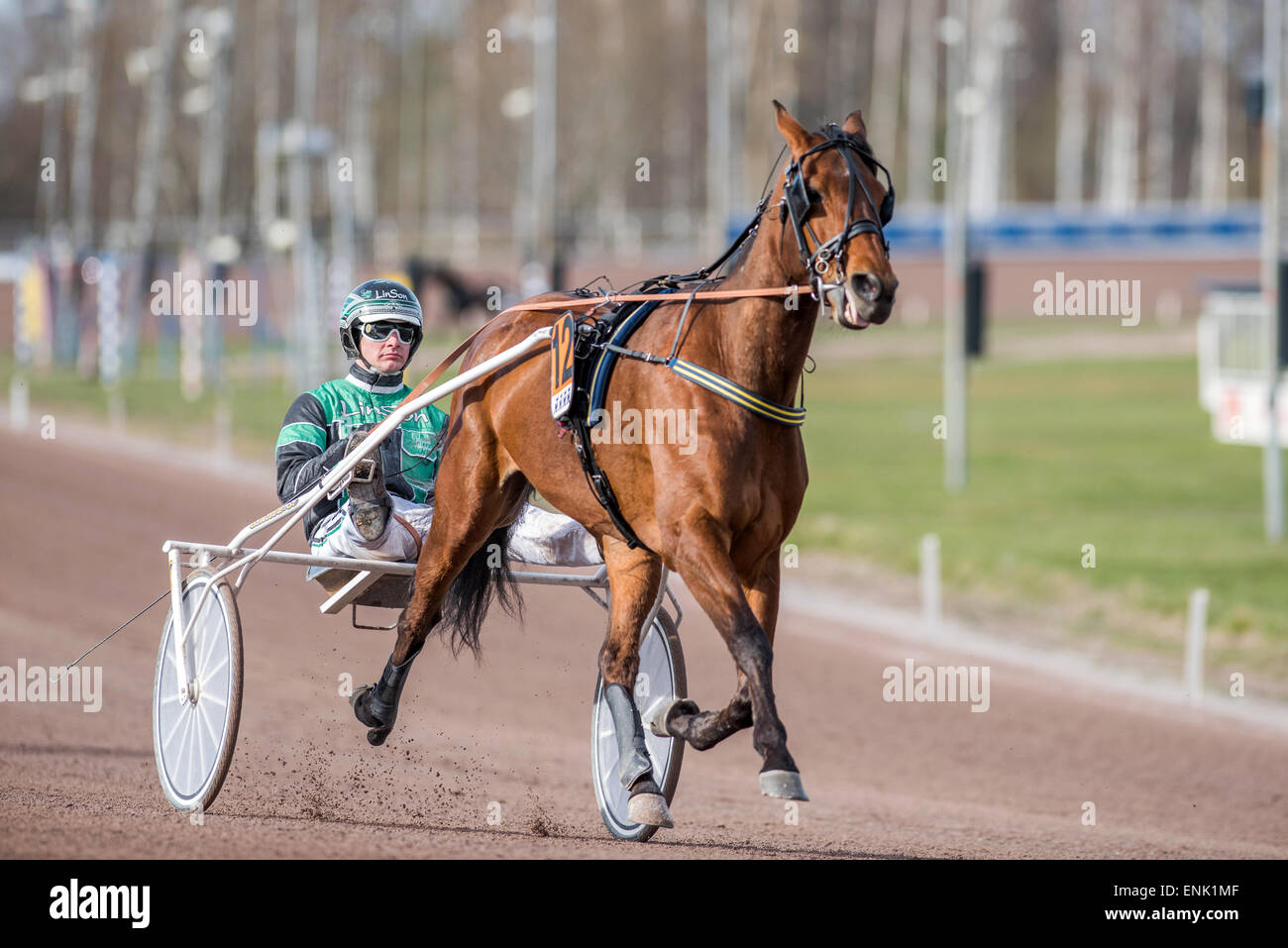 Harness Racing à Mantorp race course en Suède Banque D'Images