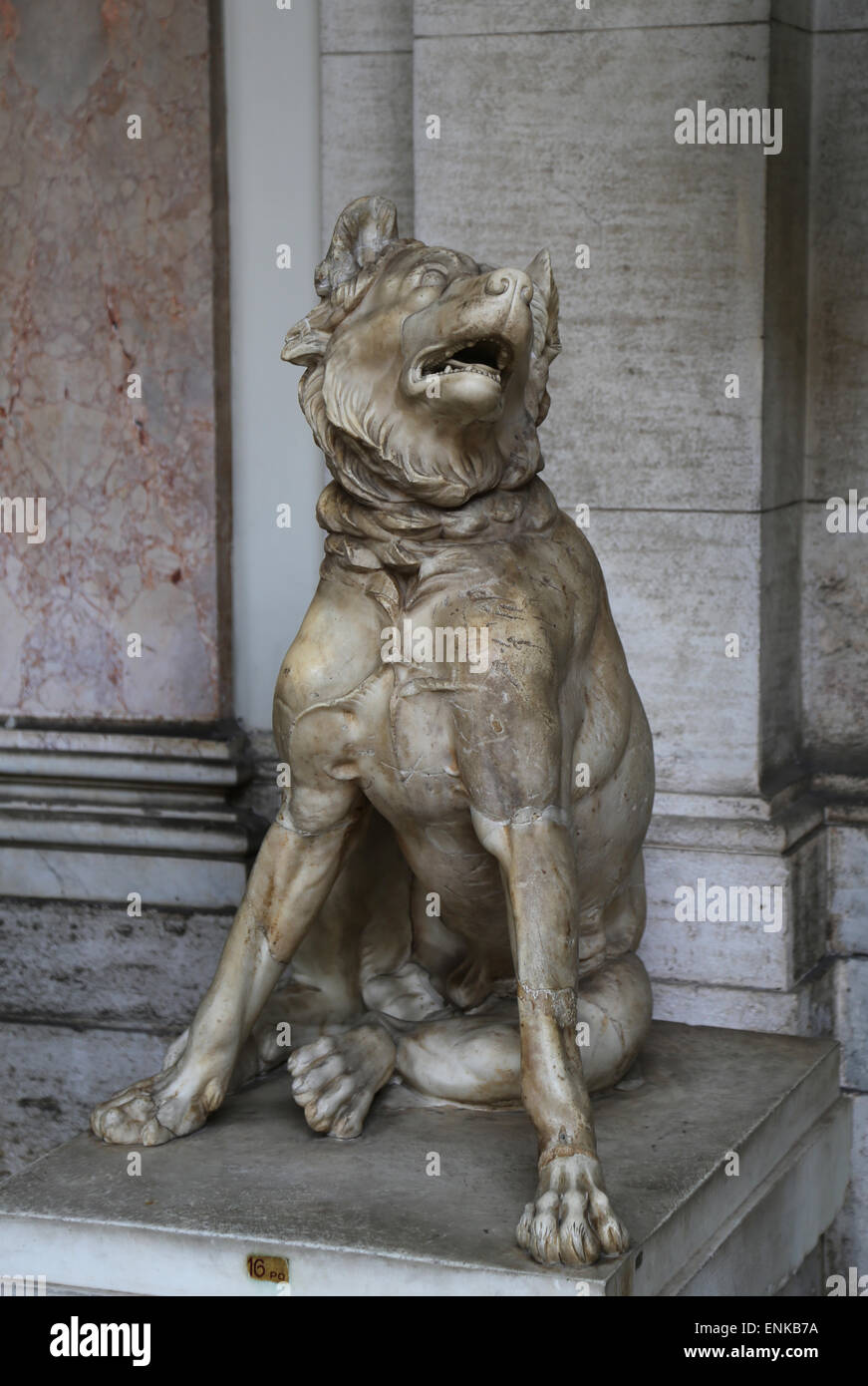 Sculpture de chien. Copie romaine impériale d'une statue en bronze d'origine hellénistique le 3ème C. C.-B.). Musées du Vatican. La cité du Vatican. Banque D'Images