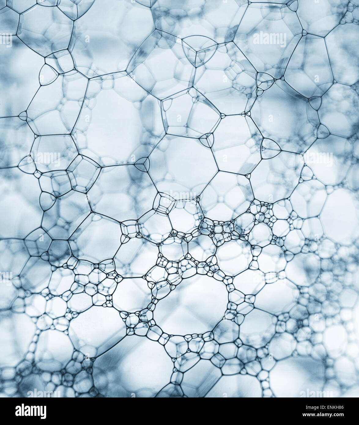 Des bulles de savon gros plan extrême créer élégant et stylé Banque D'Images