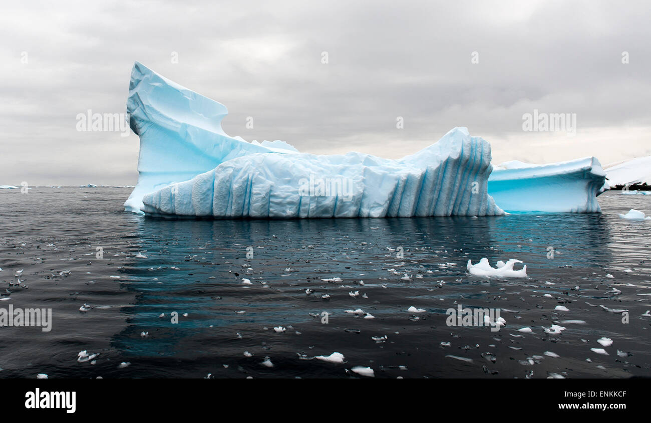 La glace bleue flottante, de réflexion et de Moody sky Cierva Cove Péninsule Antarctique Antarctique Banque D'Images