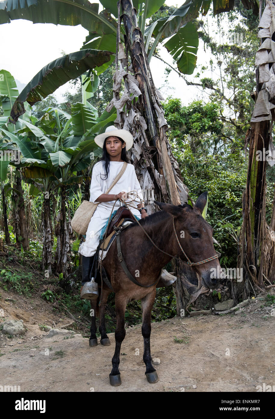 Cogui Kagaba Kogi ou ou jeune homme à cheval la Ville Perdue (Ciudad Perdida) trek Sierra Nevada Santa Marta Colombie Banque D'Images