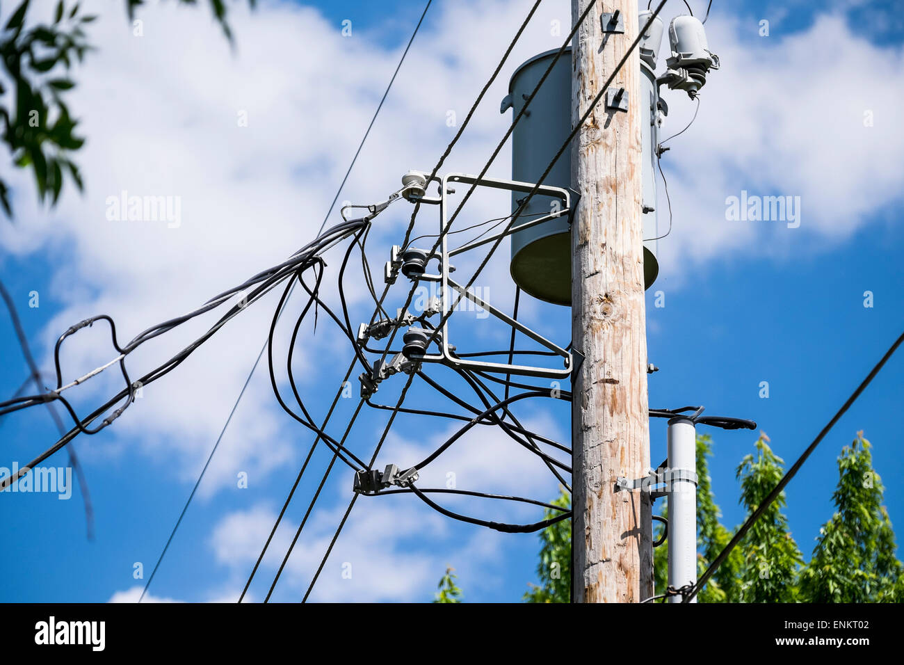 Installation électrique, téléphone et que les câbles sur un poteau dans un Oklahoma City, Oklahoma, USA voisinage. Banque D'Images