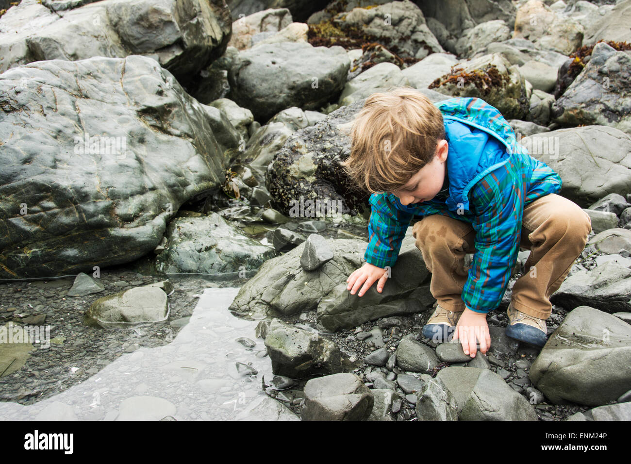Bébé garçon explore à marée Patrick's Point State Park, Californie. Banque D'Images
