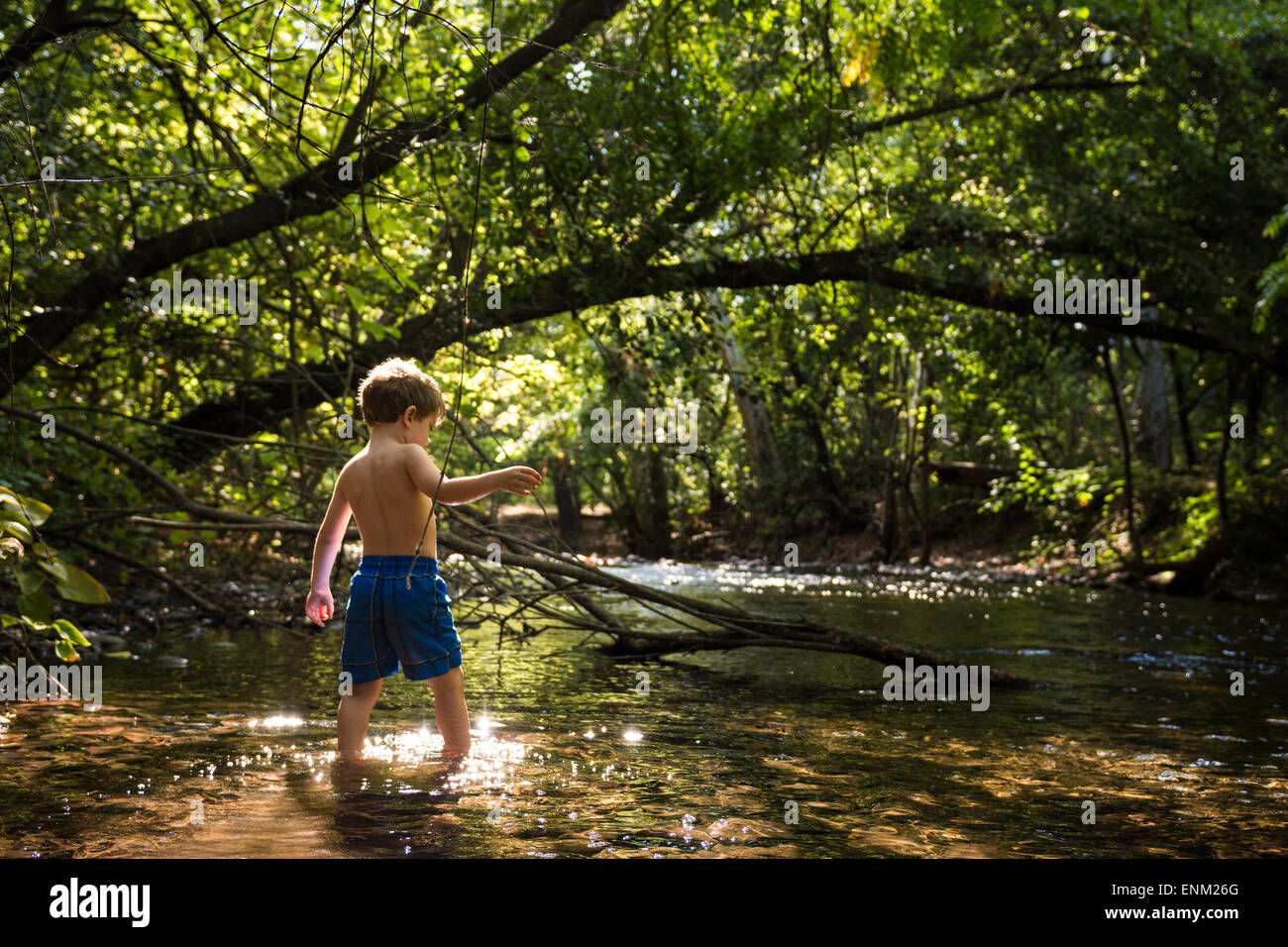 Bébé garçon explore creek sous le couvert des arbres dans Bidwell Park, Chico, Californie. Banque D'Images