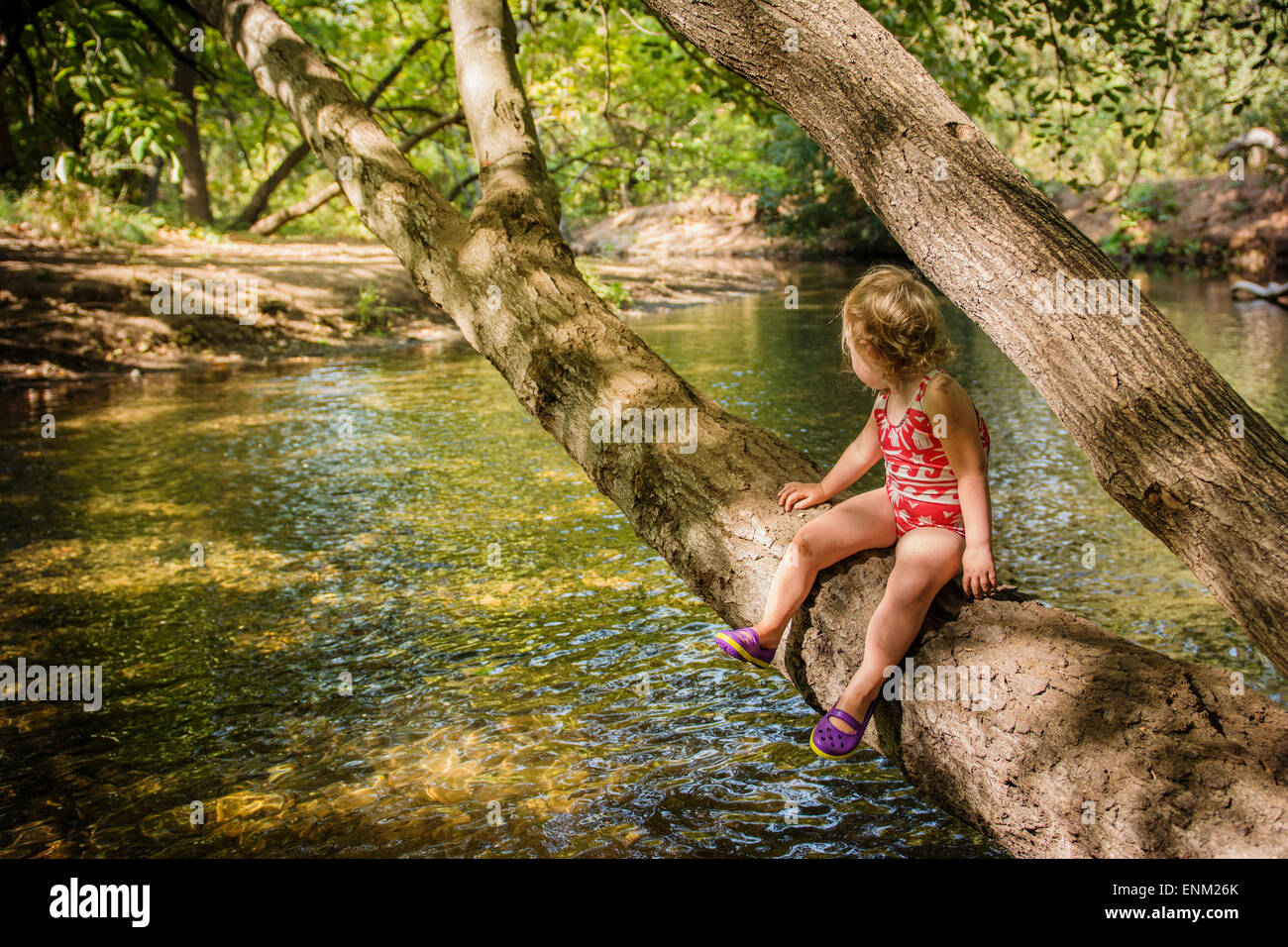 Avant la baignade, bébé fille repose sur l'arbre qui branches sur creek à Bidwell Park, Chico, Californie. Banque D'Images