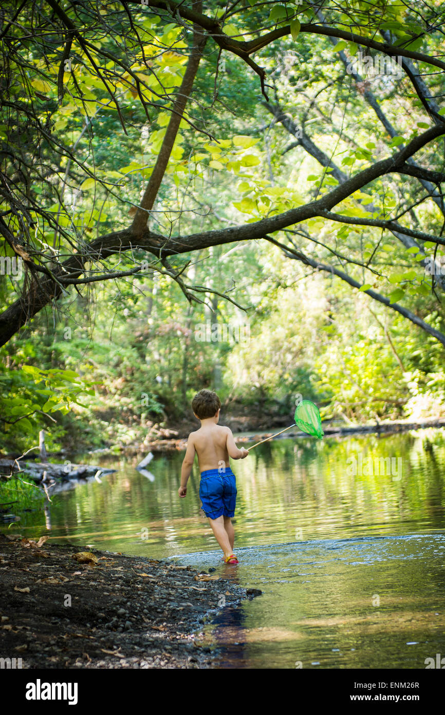 Bébé garçon recherches d'pollywogs avec net à Creek dans le parc Bidwell, Chico, Californie. Banque D'Images