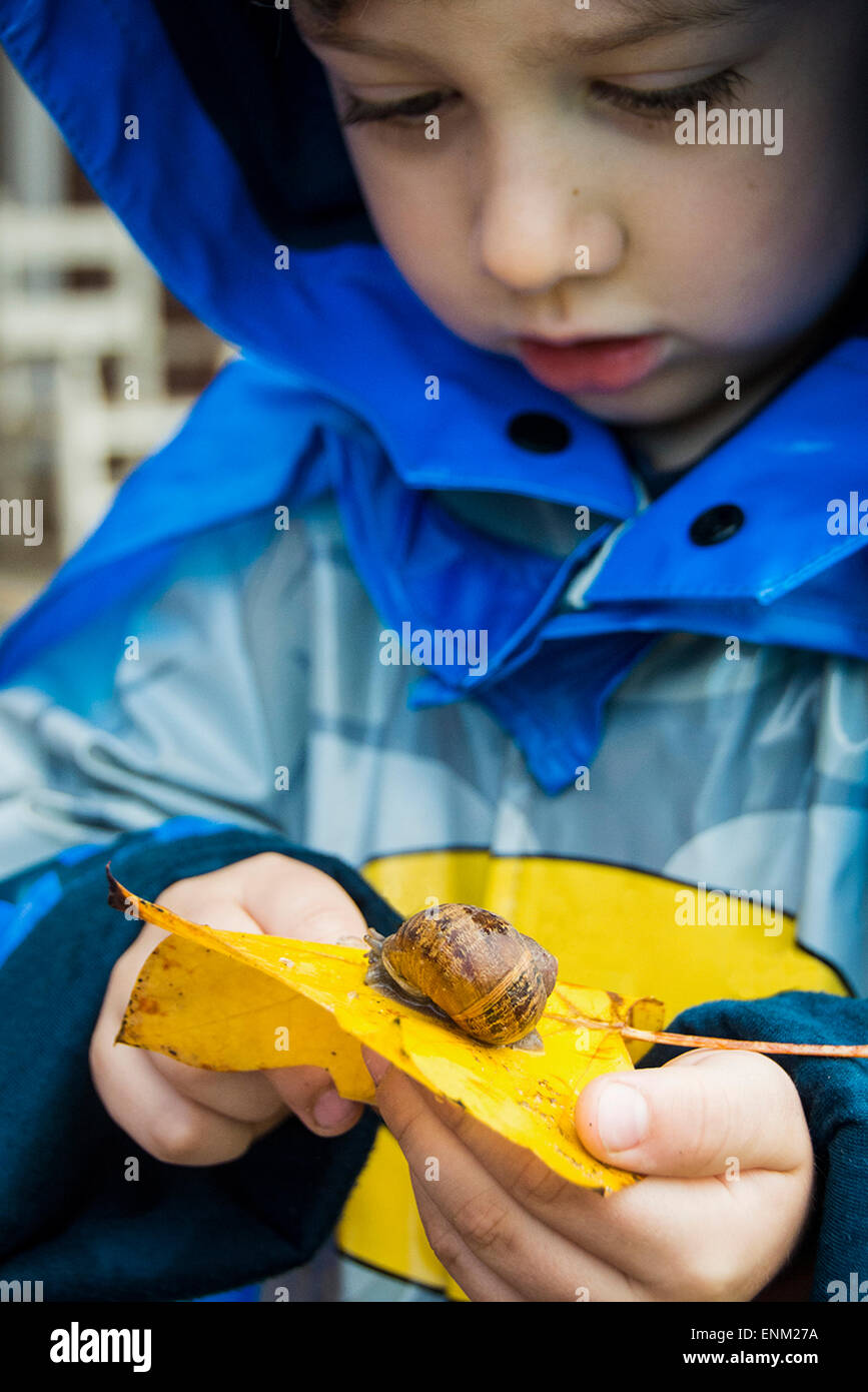Bébé garçon en veste de pluie escargot montres cross feuille jaune à Chico, Californie. Banque D'Images