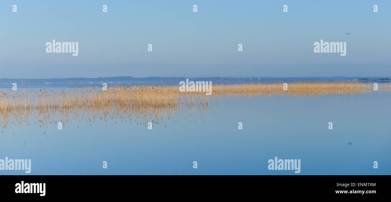 Matin au lever du soleil sur le lac de Biscarosse, France, Europe. Banque D'Images