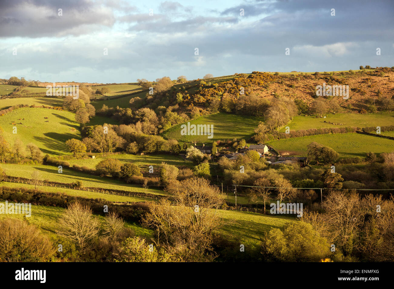 Ferme sur la lande Dartmoor National Park,mardon down,champs près de Clapham,landes ferme sur le parc national du Dartmoor, l'agriculture, de la culture, Banque D'Images