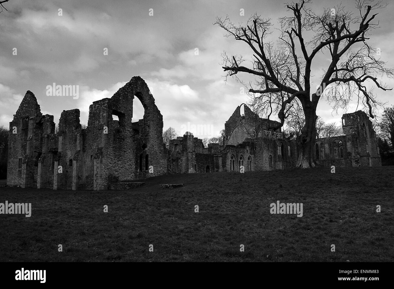 Abbaye en ruine à Netley, Southampton, Angleterre Banque D'Images