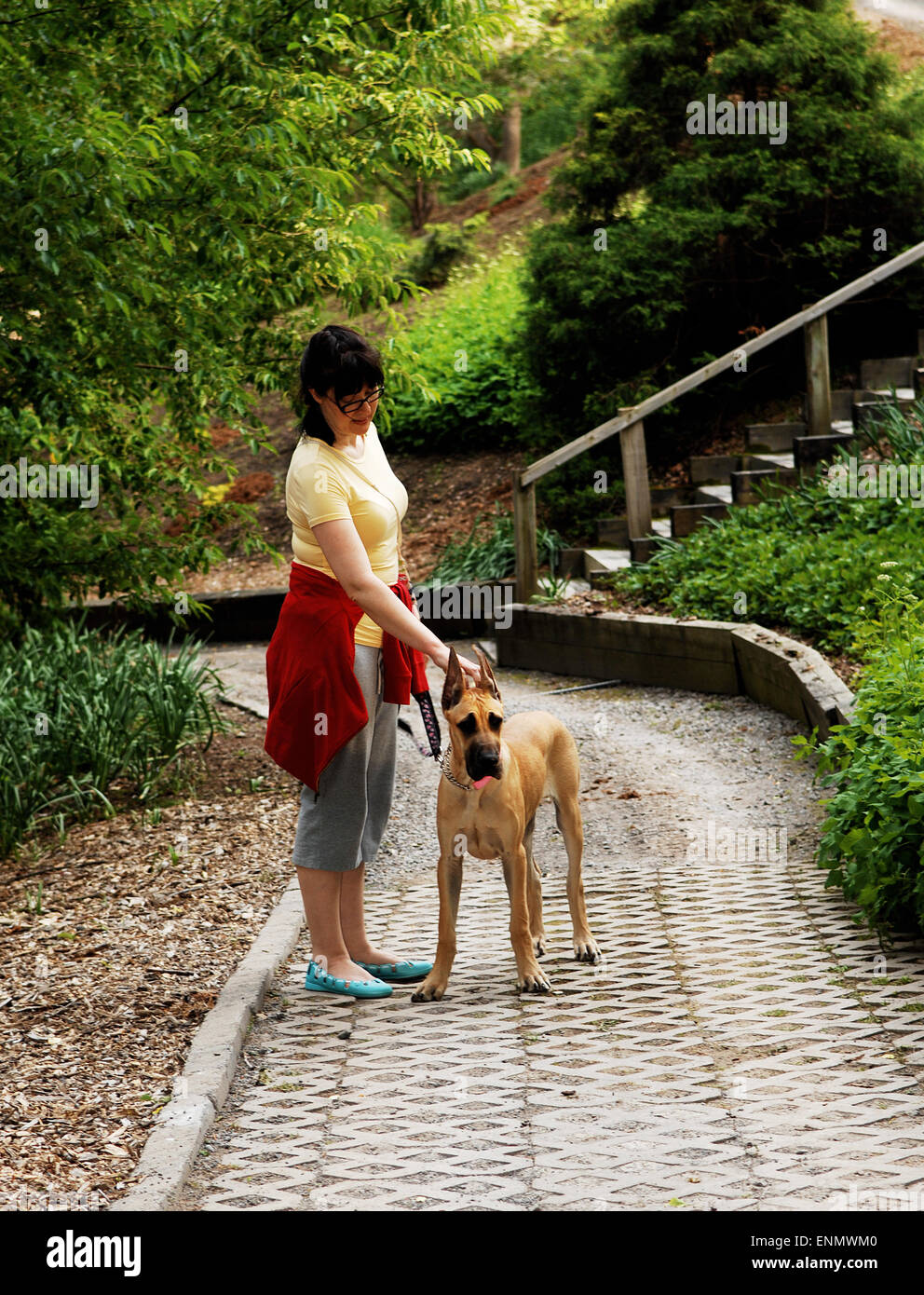 Une femme avec son chien Dogue Allemand debout dans le parc. Banque D'Images