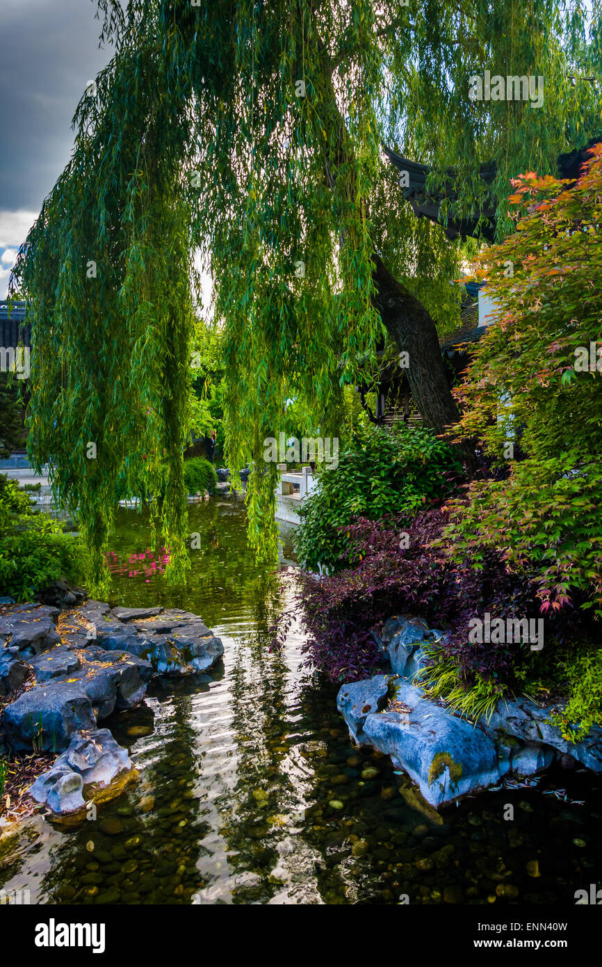 Arbre et à l'étang de jardin chinois Lan Su à Portland, Oregon. Banque D'Images