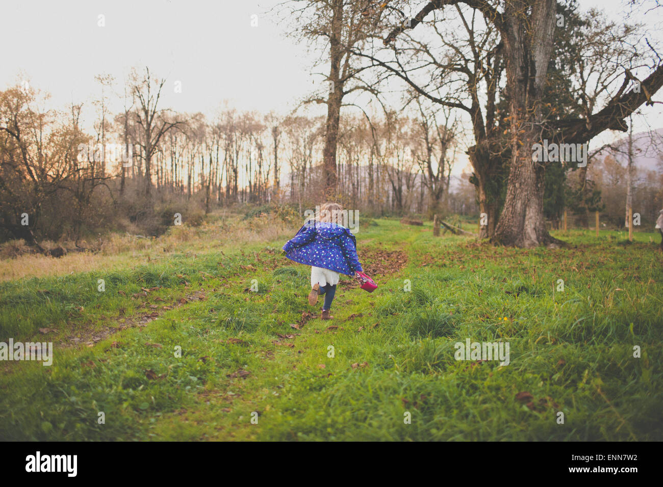 Une jeune fille court à travers l'herbe déposée. Banque D'Images