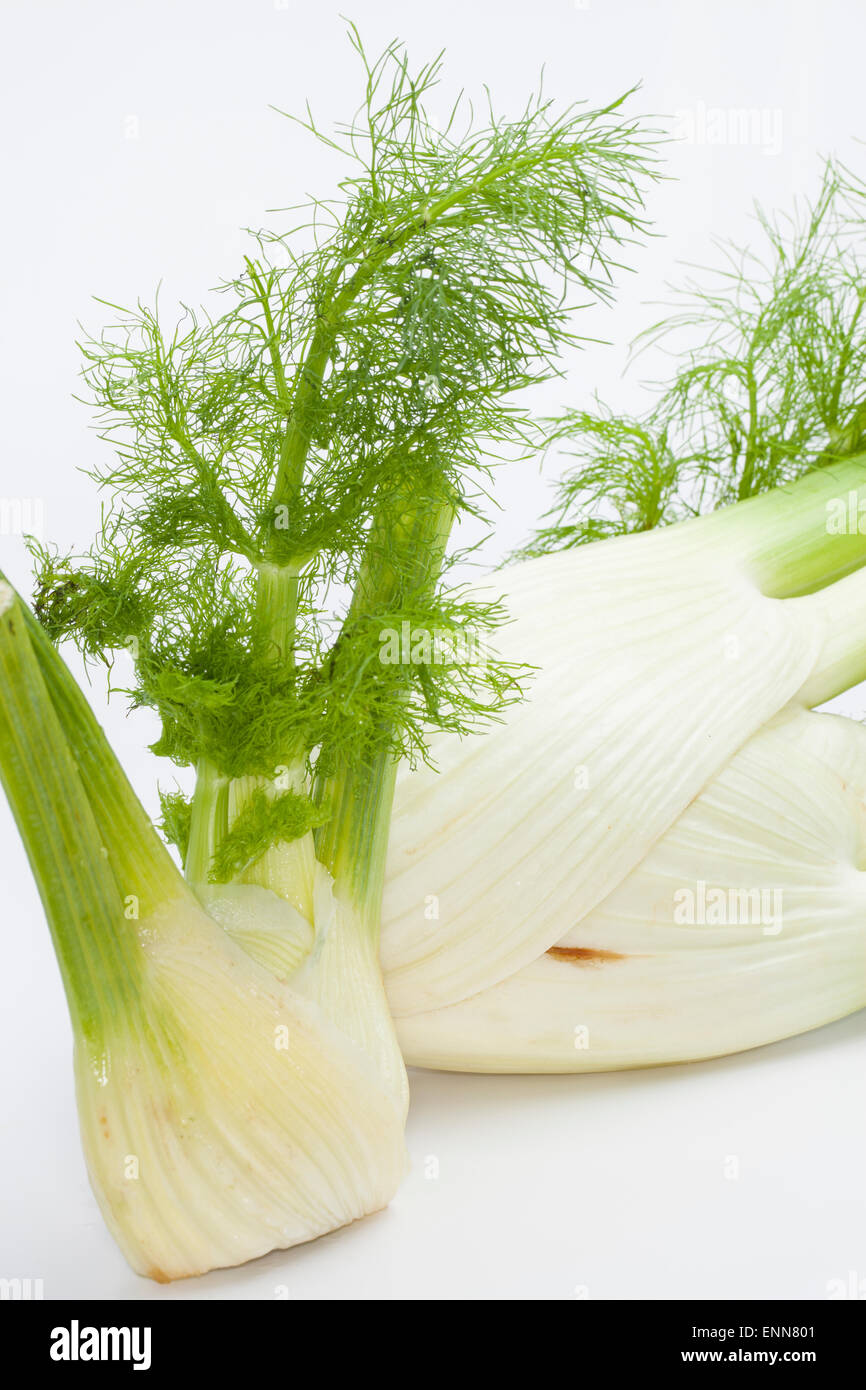 Le fenouil, fenouil doux, fenouil, Florence, Knollen-Fenchel Gemüse-Fenchel Fenchel,, Foeniculum vulgare, Foeniculum officinale Banque D'Images