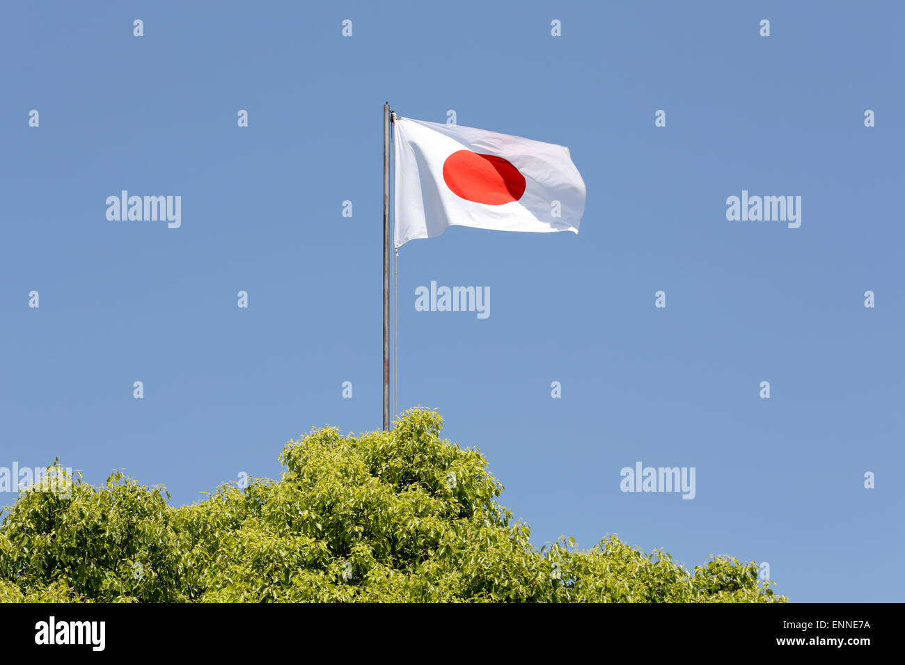 Drapeau japonais en vent contre ciel bleu clair Banque D'Images