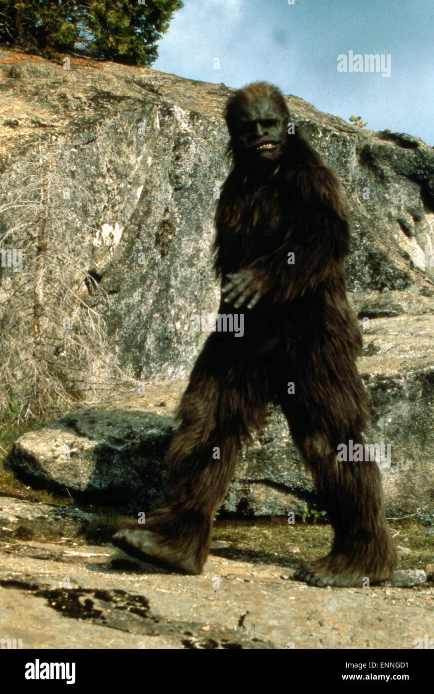 rencontre avec un bigfoot