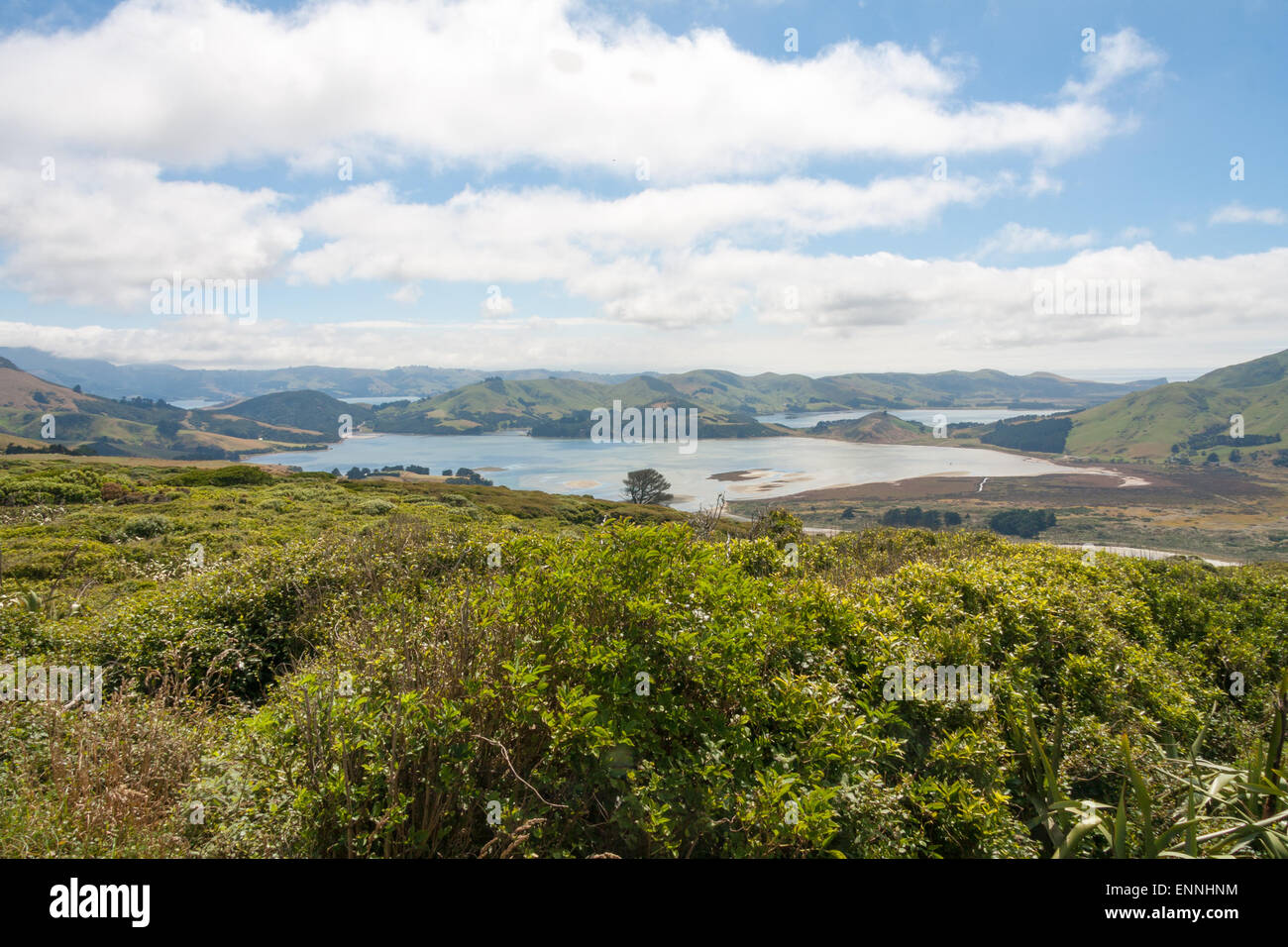Vue de la péninsule d'Otago dans l'île du Sud, Nouvelle-Zélande Banque D'Images