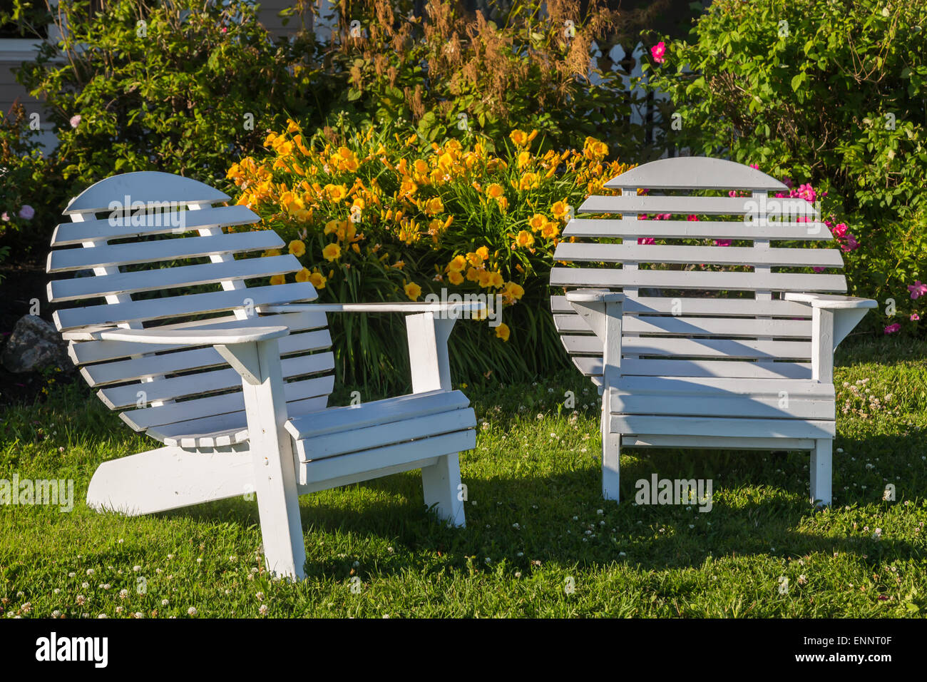 Dos rond chaises Adirondack affectueusement connu comme une lune chaise  devant une maison et fleurs Photo Stock - Alamy