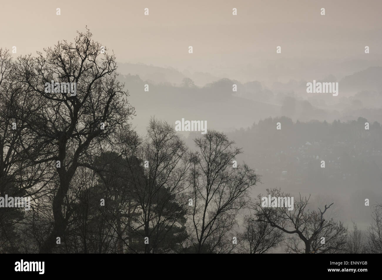 Les collines du Surrey, enveloppé dans le brouillard de l'aube Banque D'Images