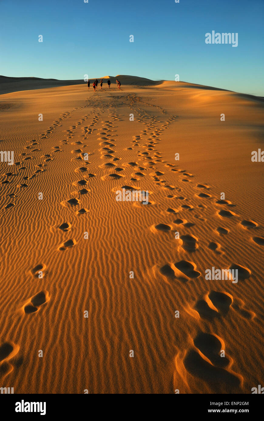 Groupe de personnes marcher sur les dunes de sable au coucher du soleil Banque D'Images