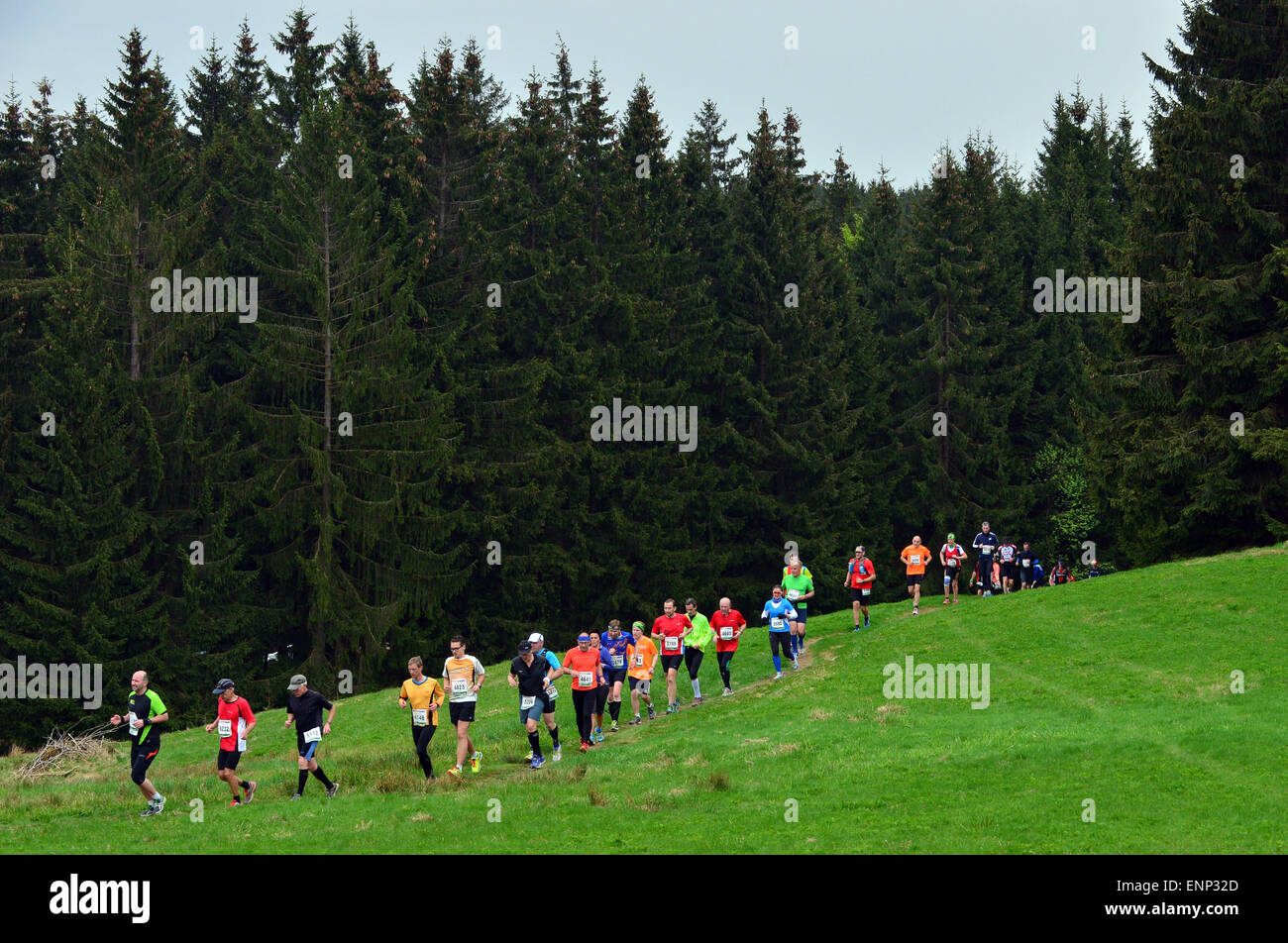 Schmiedefeld, Allemagne. 09 mai, 2015. Les coureurs de marathon en cours entre Neuhaus am Rennweg et Schmiedefeld, Allemagne, le 9 mai 2015. Au total, près de 15 000 coureurs, randonneurs et marcheurs inscrits pour prendre part à diverses étapes de la plus grande course de cross-country. PHOTO : MARTIN SCHUTT/dpa dpa : Crédit photo alliance/Alamy Live News Banque D'Images