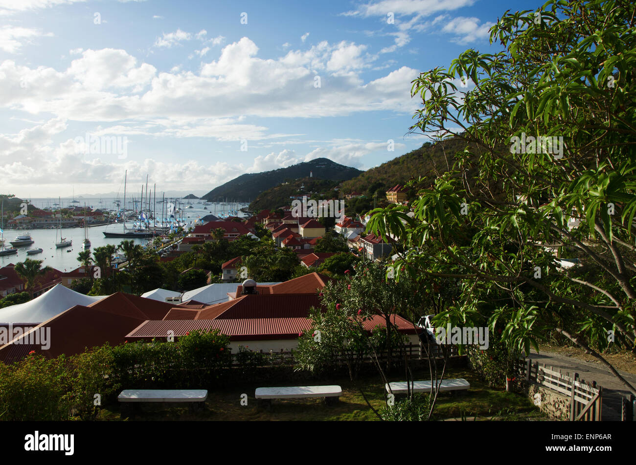 Saint-Barthélemy : vue panoramique sur la ville et le port de Gustavia, avec la végétation et les toits rouges Banque D'Images