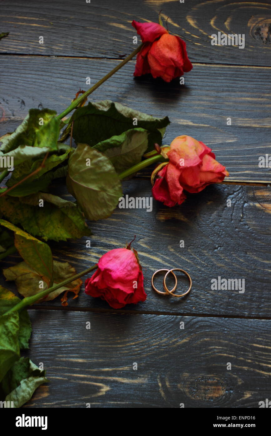 Sur une planche en bois le flétrissement des roses et les anneaux de mariage comme un symbole de l'amour durable Banque D'Images