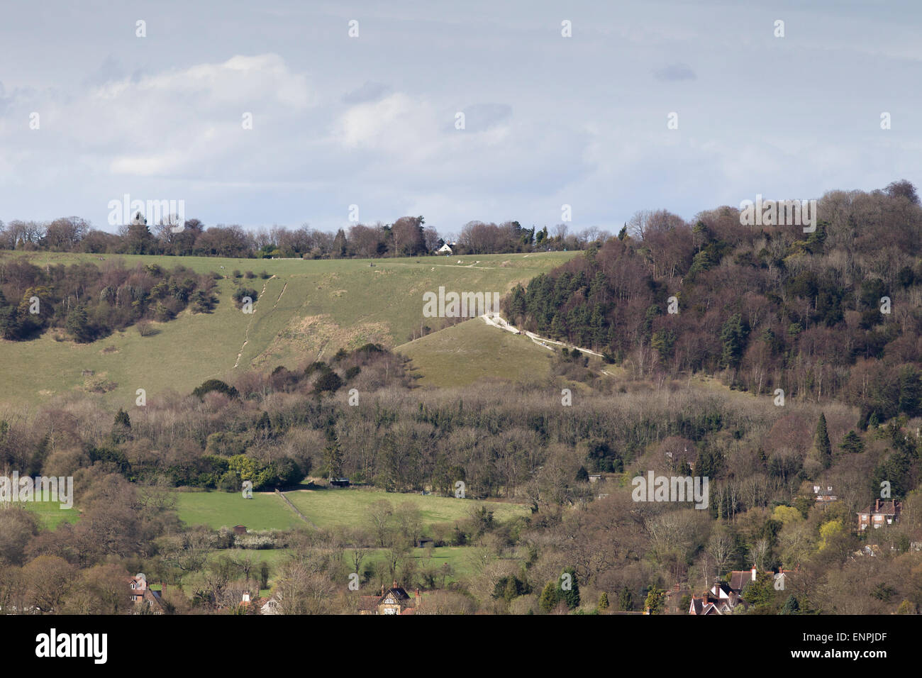 Colley Hill, près de Reigate, Surrey, dans les North Downs, England, UK au début du printemps Banque D'Images