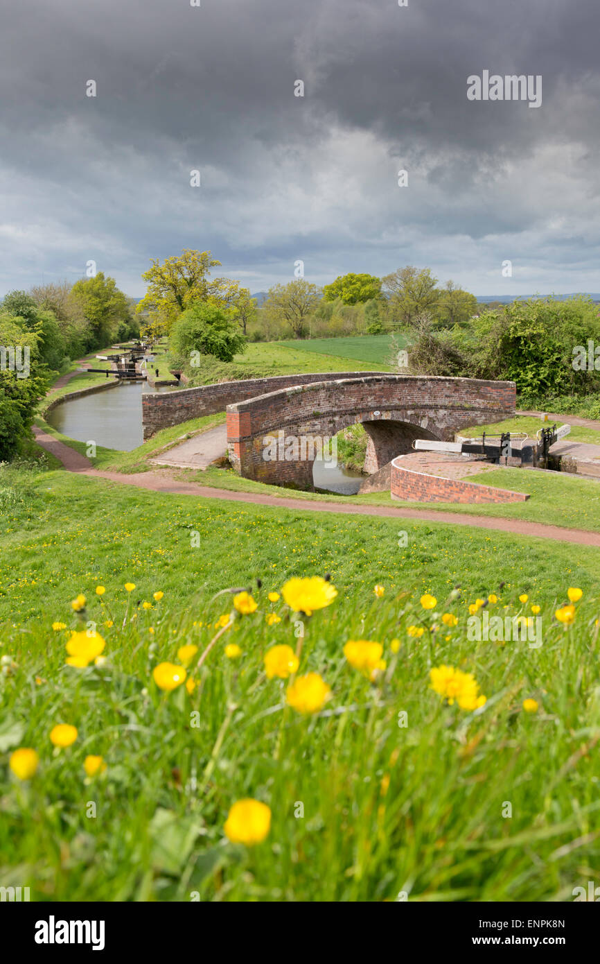 Tardebigge écluses sur le Canal de Worcester et Birmingham au printemps, Worcestershire, Angleterre, RU Banque D'Images