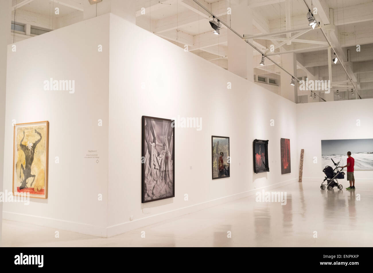 Malaga, Espagne. CAC (Centro de Arte Contemporáneo) musée. Peintures de Miquel Barceló et Santiago Ydáñez Banque D'Images
