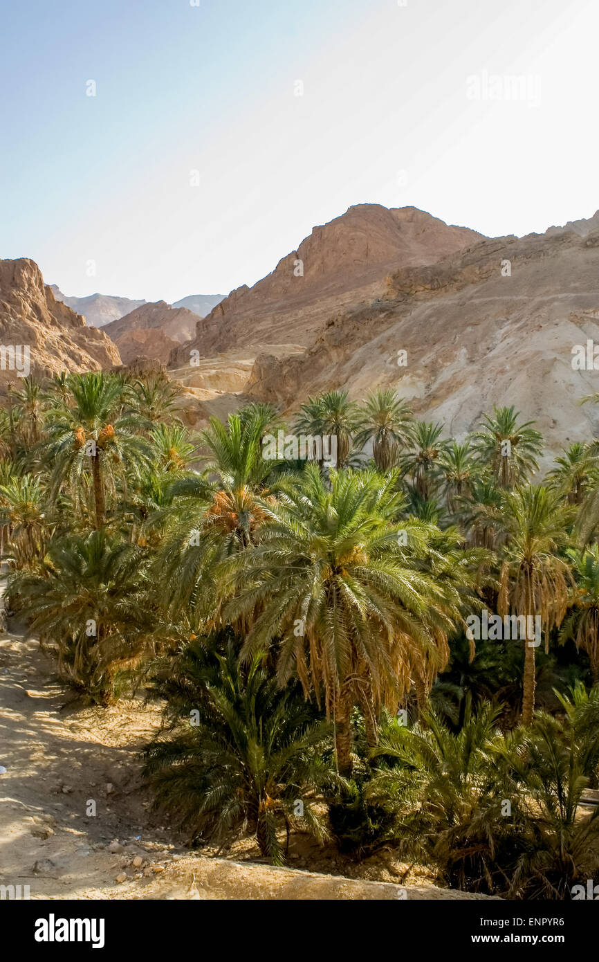Poster 130x90 Cm Oasis De Montagne Chebika - Désert Du Sahara, Tunisie, Cascade - Décoration Murale Vibrante, Impression Qualité Premium - 12