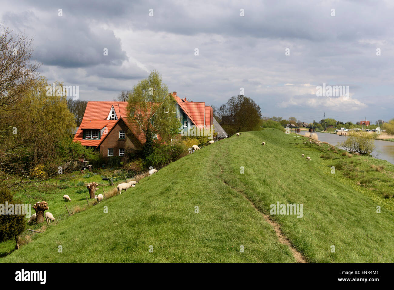 À fleuve Pinnau dans Neuendeich, Allemagne Banque D'Images