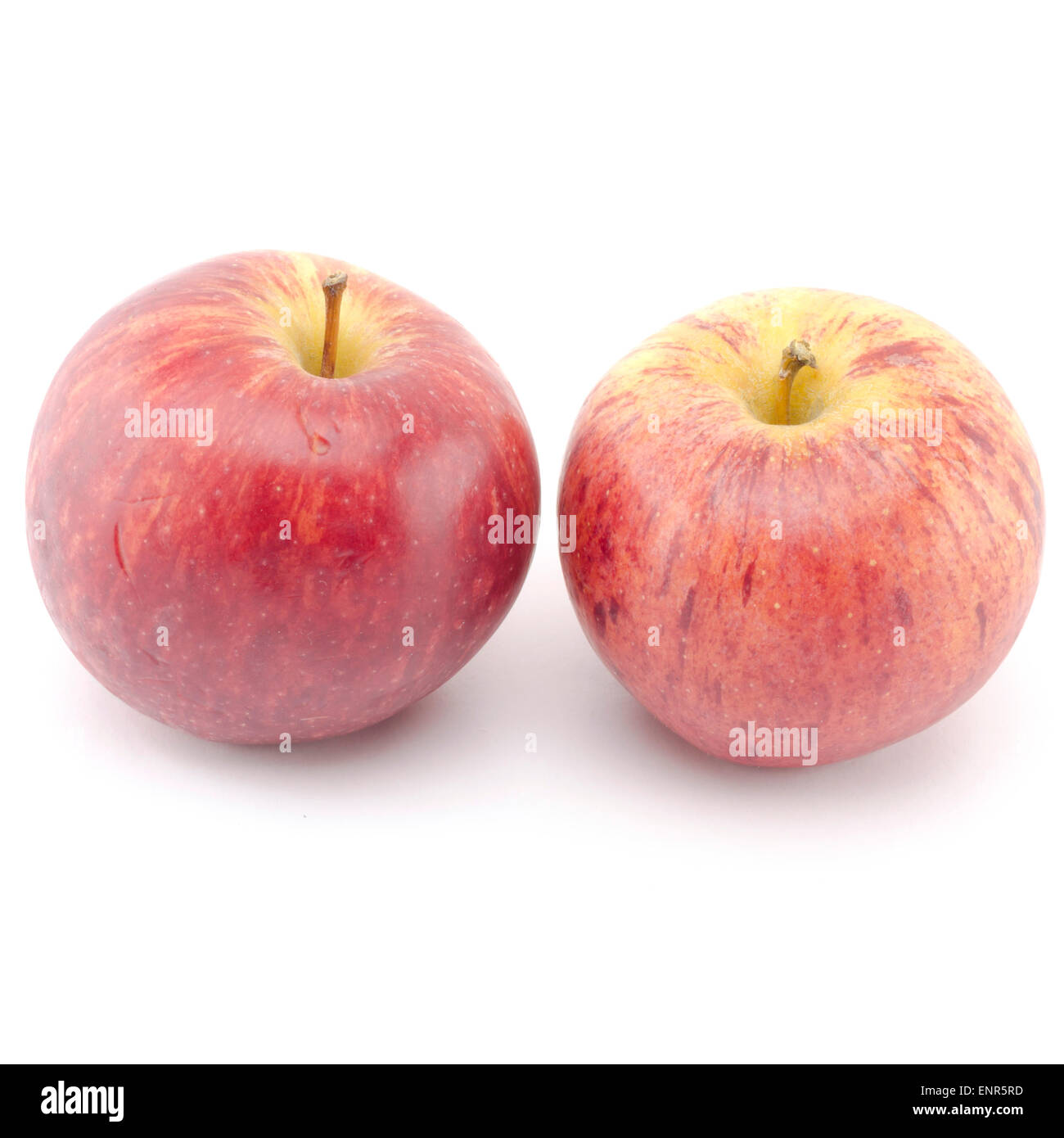 Deux pommes n isolé sur fond blanc Banque D'Images
