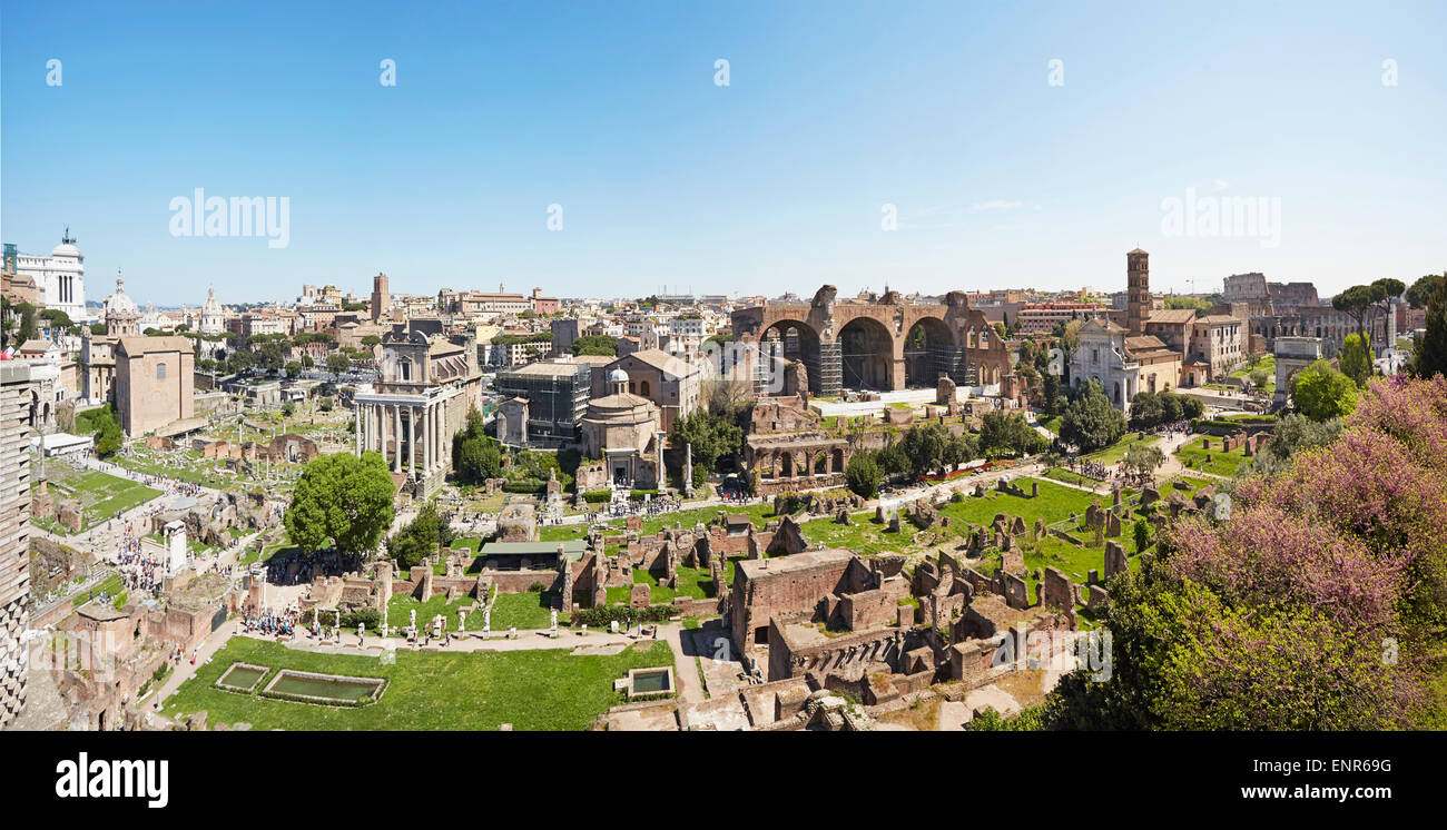 Rome, le Forum panorama avec le temple de Romulus au centre et les voûtes de la basilique de Constantin et Maxence Banque D'Images