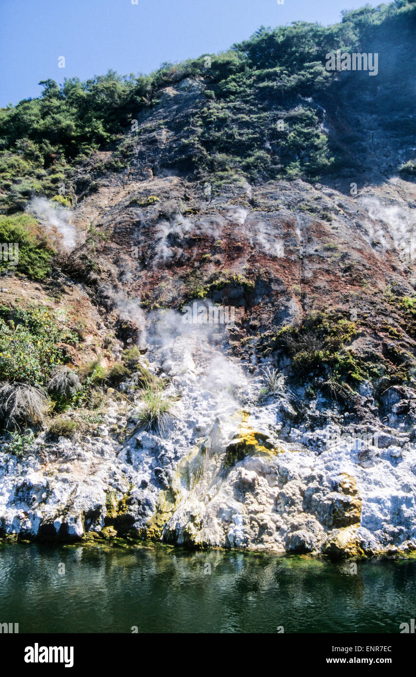 Vapeur s'élevant des sources thermales du lac Crater à Rotomahana, en Nouvelle-Zélande Banque D'Images