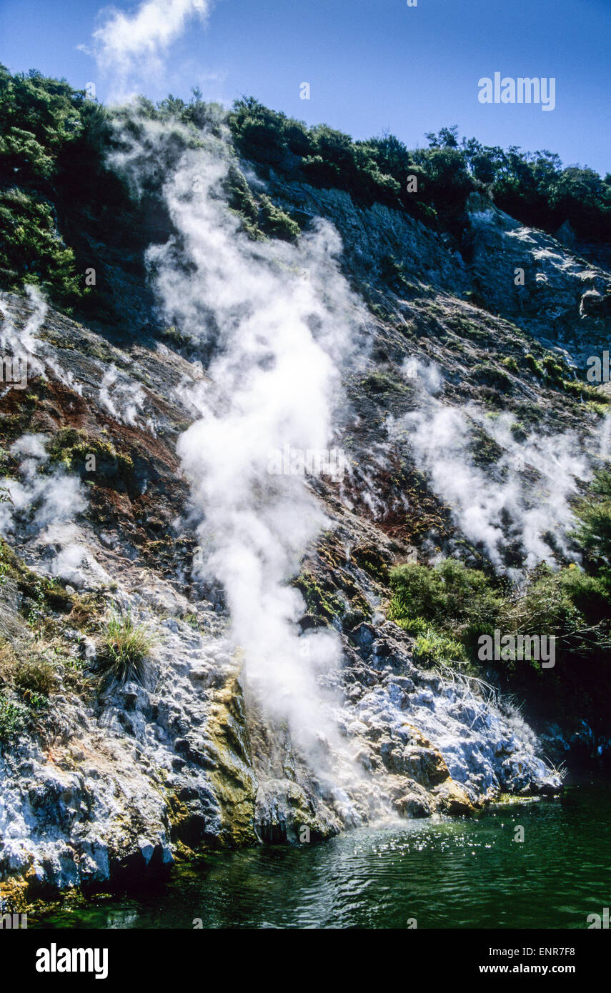 Vapeur s'élevant des sources thermales du lac Crater à Rotomahana, en Nouvelle-Zélande Banque D'Images