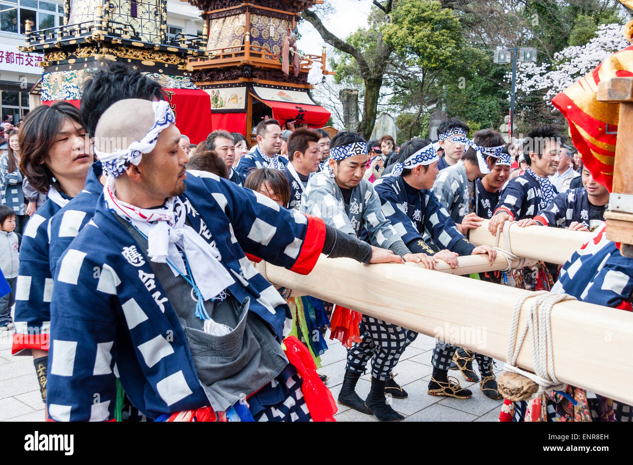 Yama float équipe d'hommes japonais utilisant les longues poutres en bois à l'avant et à l'arrière du flotteur pour le pousser pendant le festival Inuyama de printemps. Banque D'Images